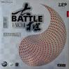 вид 1, Battle Taichi 39/37