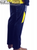 вид 1, брюкі від костюма 6007-18 синій/жовтий