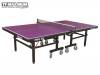 вид 1, professional tennis table Pro 25 ITTF